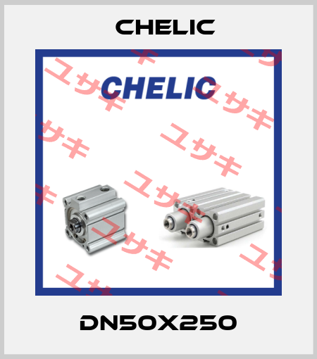 DN50x250 Chelic