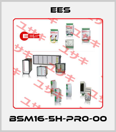 BSM16-5H-PR0-00 Ees