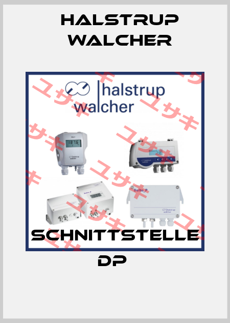 SCHNITTSTELLE DP  Halstrup Walcher