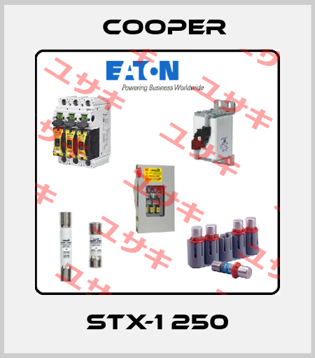 STX-1 250 Cooper