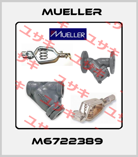 M6722389  Mueller