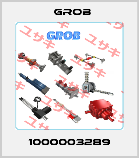 1000003289 Grob