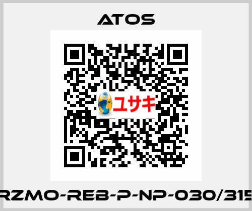 RZMO-REB-P-NP-030/315 Atos