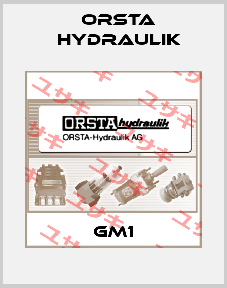 GM1 Orsta Hydraulik