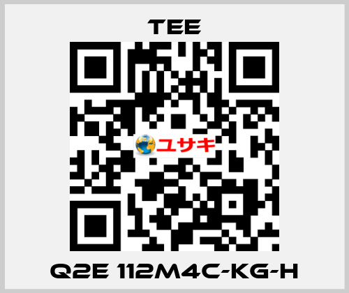 Q2E 112M4C-KG-H TEE