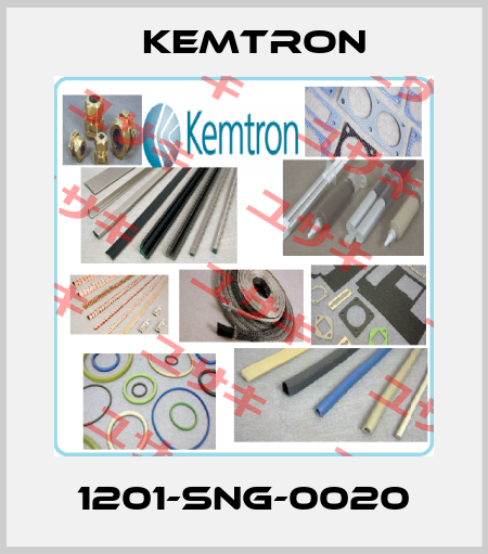 1201-sng-0020 KEMTRON