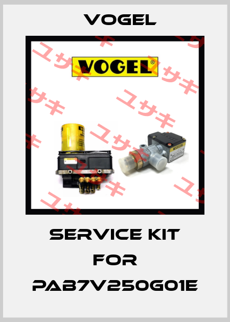 service kit for PAB7V250G01E Vogel
