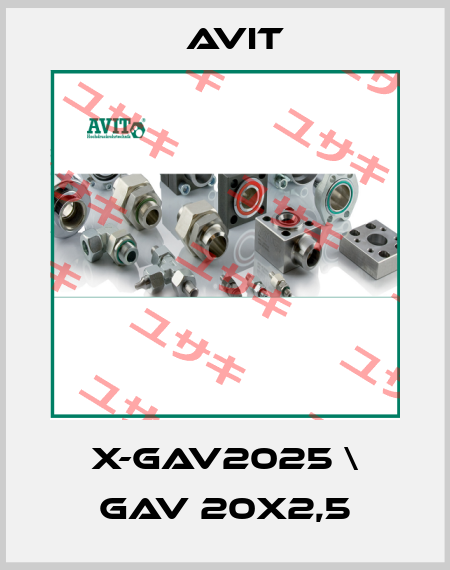 X-GAV2025 \ GAV 20X2,5 Avit