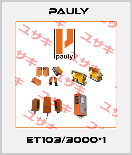 ET103/3000*1 Pauly