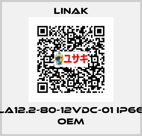 LA12.2-80-12VDC-01 IP66 OEM Linak