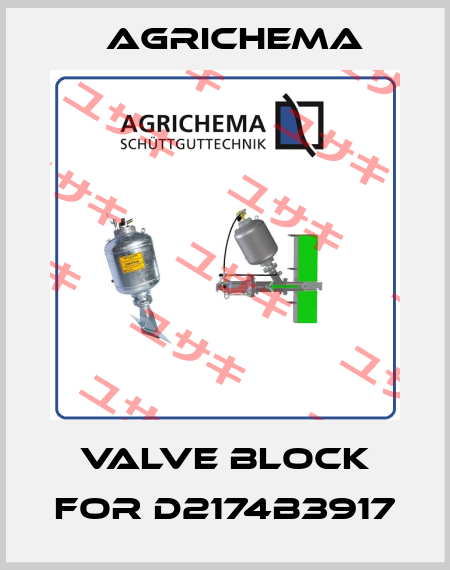 valve block for D2174B3917 Agrichema