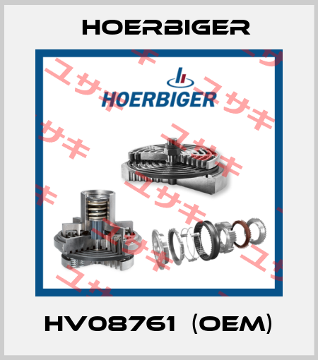 HV08761  (OEM) Hoerbiger