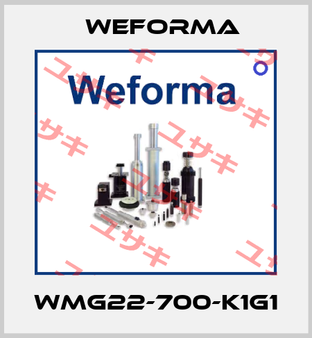 WMG22-700-K1G1 Weforma