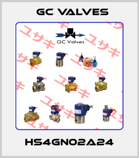 HS4GN02A24 GC Valves