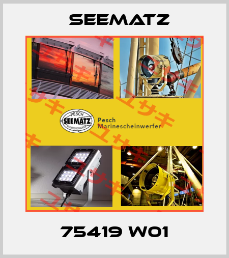 75419 W01 Seematz