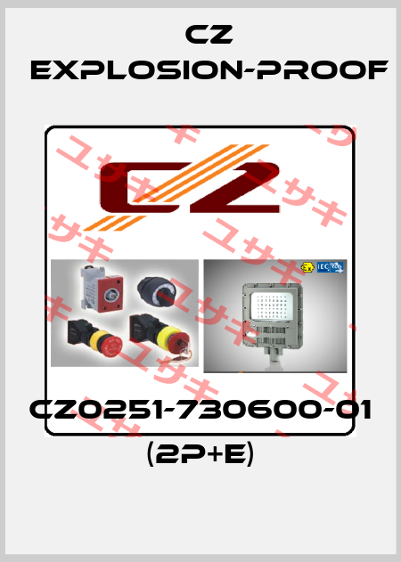 CZ0251-730600-01 (2P+E) CZ Explosion-proof