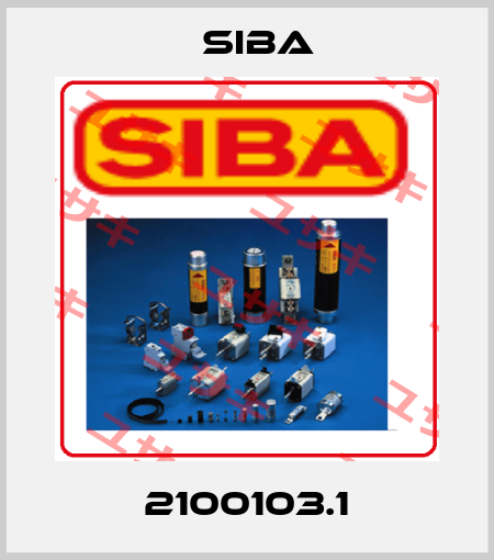 2100103.1 Siba
