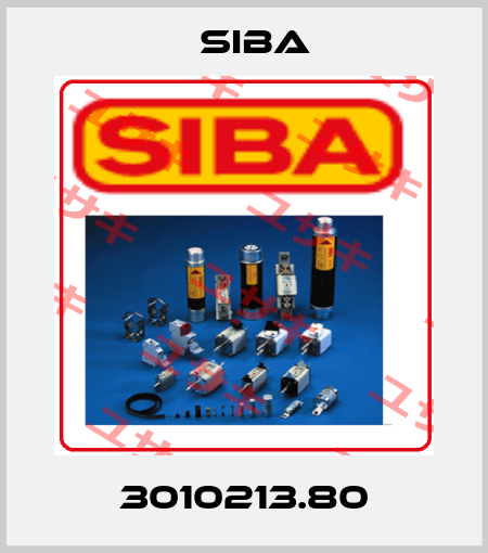 3010213.80 Siba