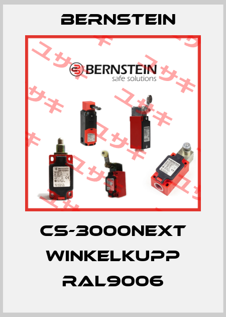 CS-3000NEXT WINKELKUPP RAL9006 Bernstein