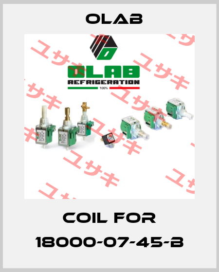coil for 18000-07-45-B Olab