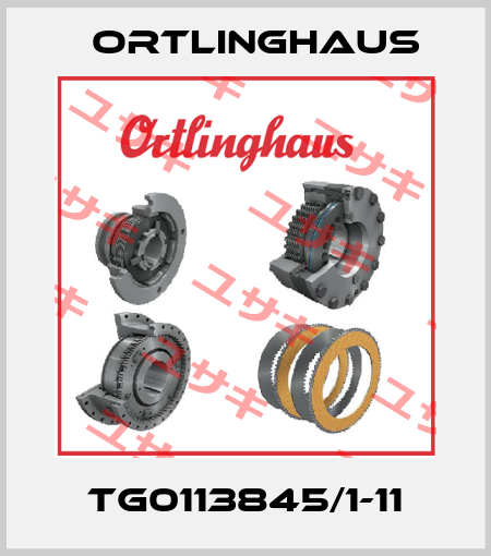TG0113845/1-11 Ortlinghaus