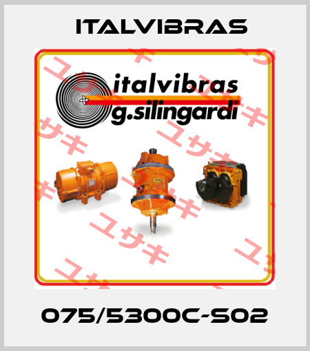 075/5300C-S02 Italvibras