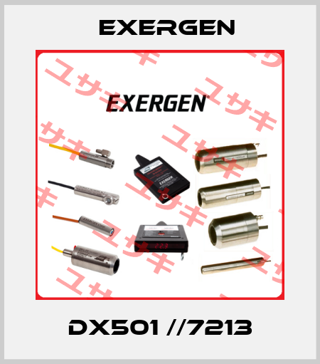 DX501 //7213 Exergen