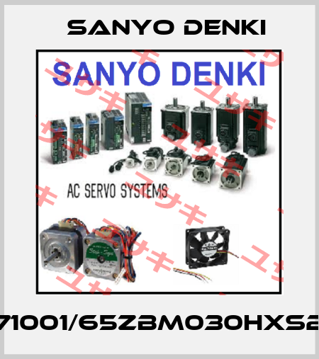 653471001/65ZBM030HXS24EUS Sanyo Denki