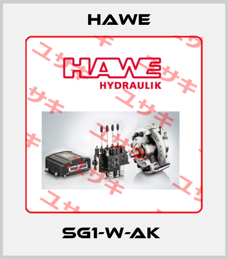 SG1-W-AK  Hawe