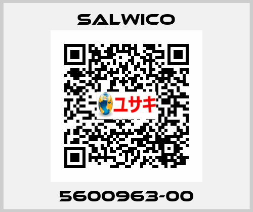 5600963-00 Salwico