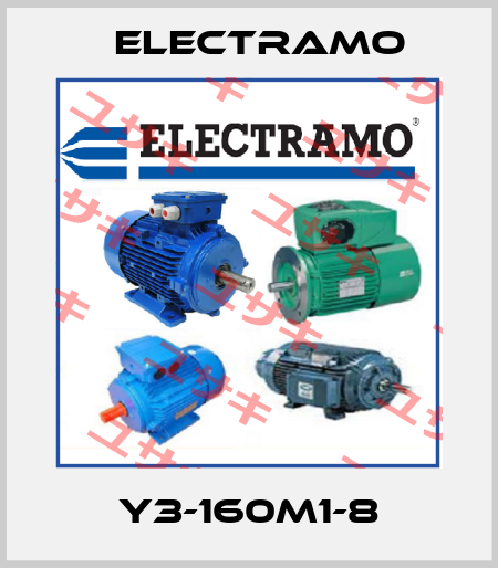 Y3-160M1-8 Electramo