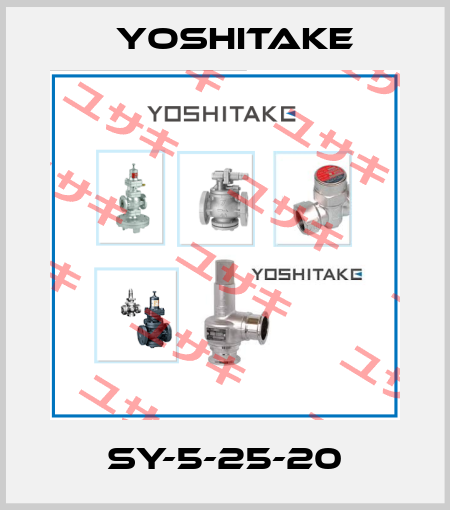 SY-5-25-20 Yoshitake