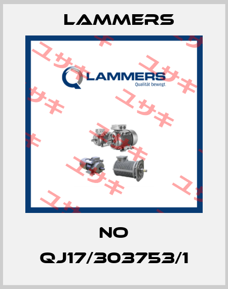 No QJ17/303753/1 Lammers