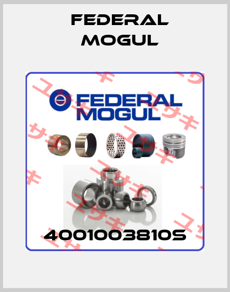 4001003810S Federal Mogul
