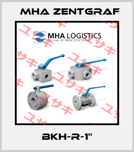 BKH-R-1" Mha Zentgraf