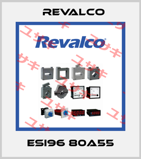 ESI96 80A55 Revalco
