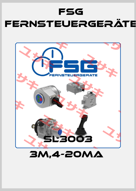 SL3003 3M,4-20MA  FSG Fernsteuergeräte