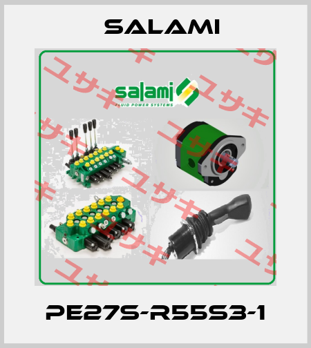 PE27S-R55S3-1 Salami