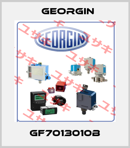 GF7013010B Georgin