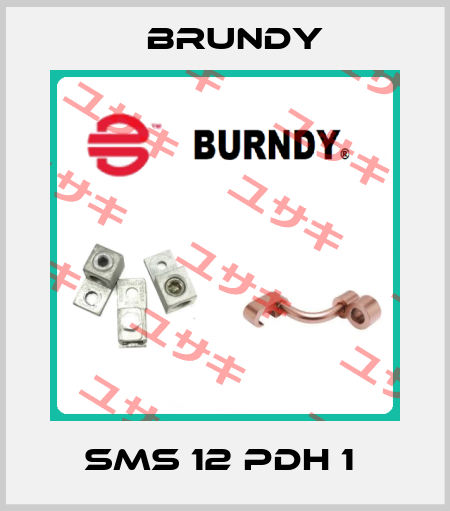SMS 12 PDH 1  Brundy