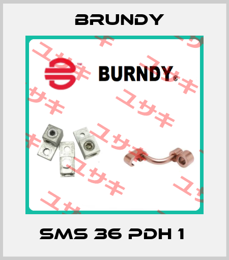 SMS 36 PDH 1  Brundy