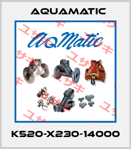 K520-X230-14000 AquaMatic
