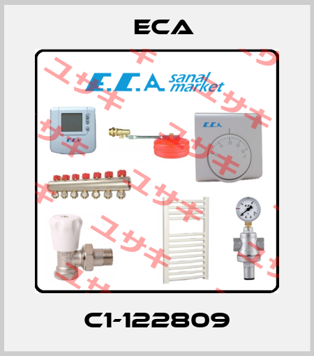  C1-122809 Eca