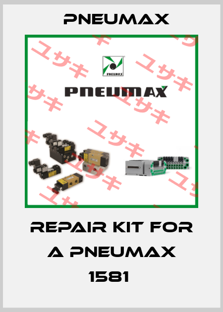 repair kit for a Pneumax 1581  Pneumax