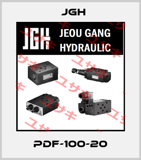 PDF-100-20 JGH