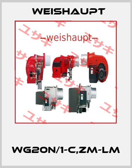  WG20N/1-C,ZM-LM Weishaupt