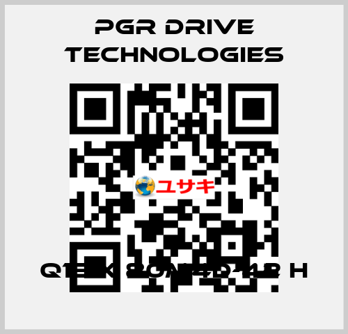 Q1E X 80M4D-42 H PGR Drive Technologies