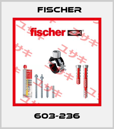 603-236 Fischer