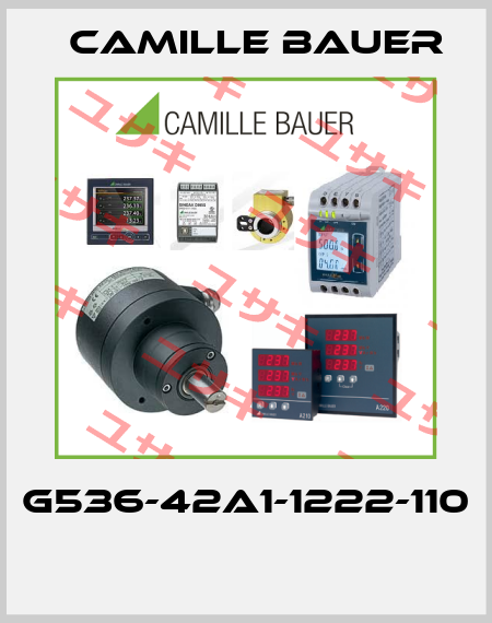 G536-42A1-1222-110  Camille Bauer