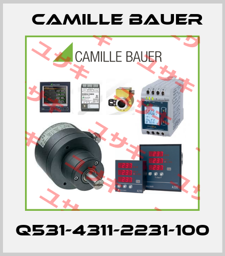 Q531-4311-2231-100 Camille Bauer